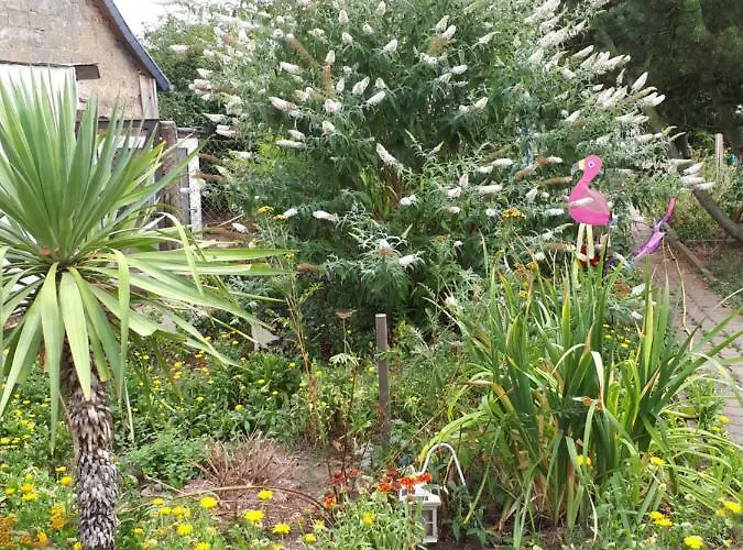 Kraehmer Tatil Evi Kelbra